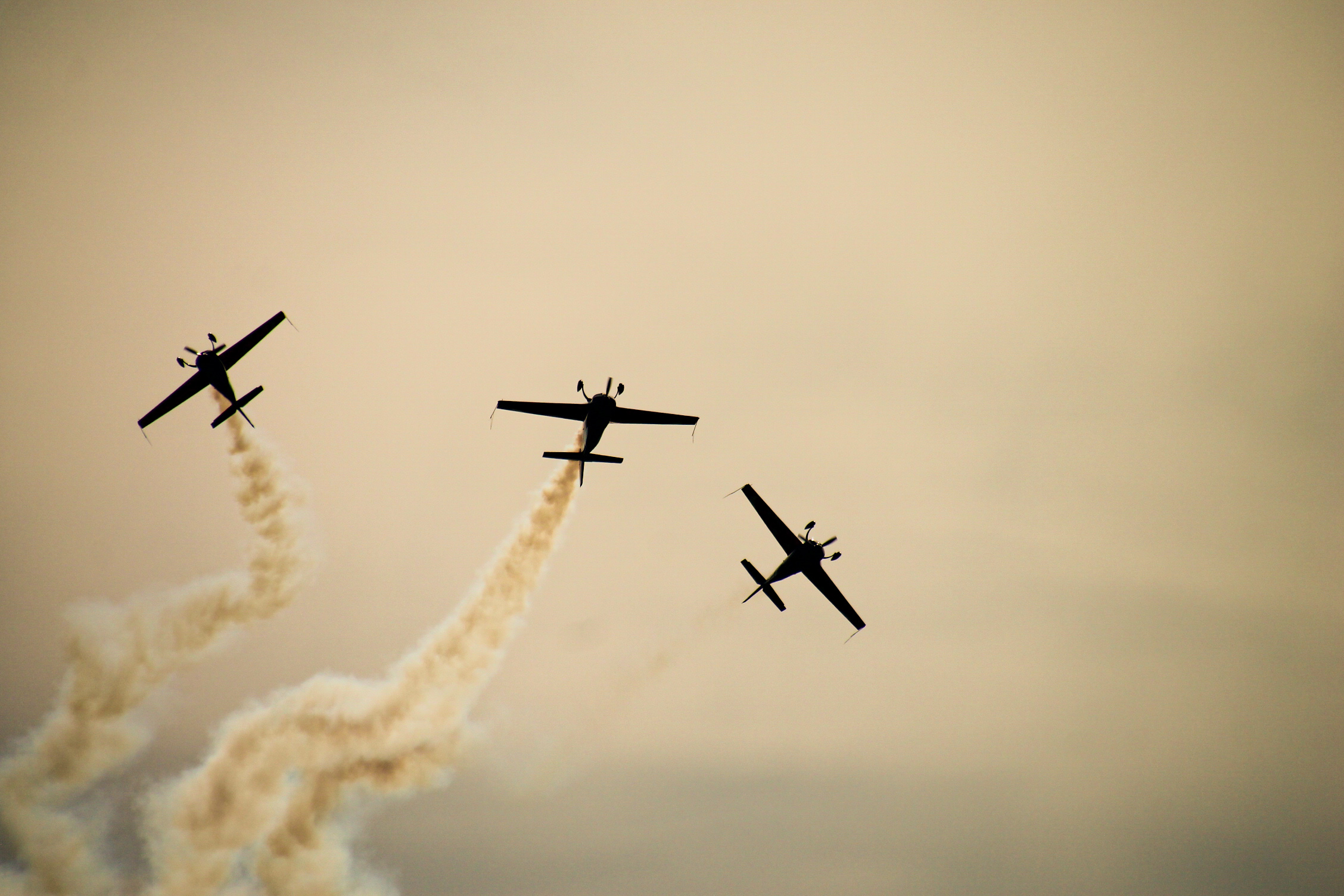AirExpo – meeting aérien